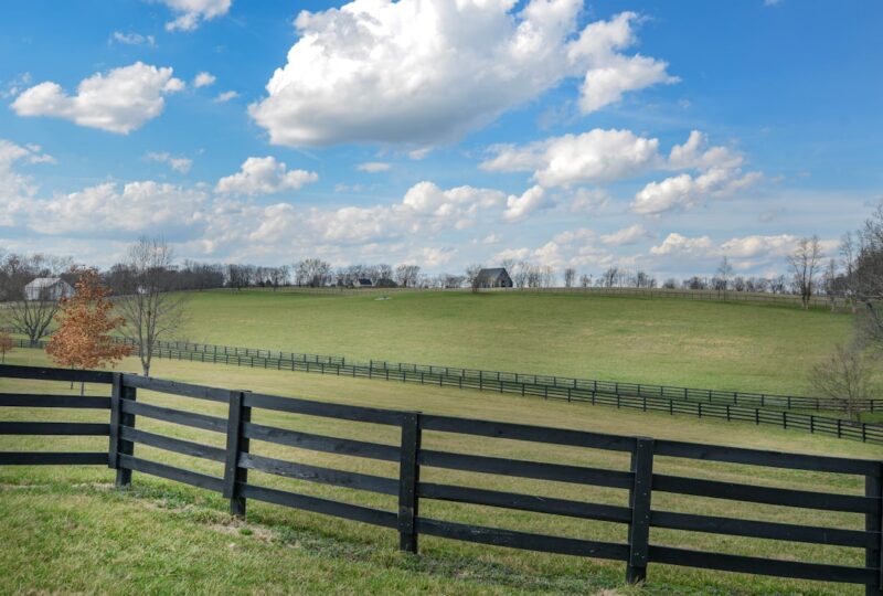 Cornbread Hemp Review 2026: Kentucky-Grown Full Spectrum CBD Put to the Test