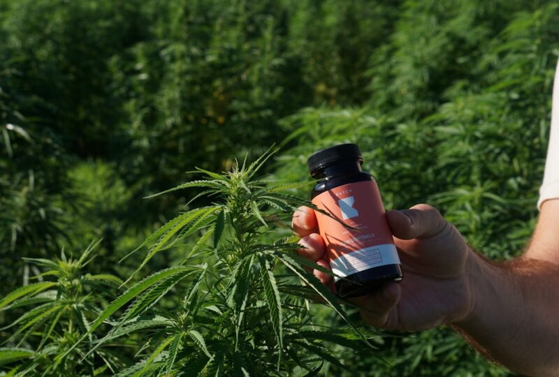 Charlotte’s Web Brand Spotlight 2026: The Pioneer That Went Organic