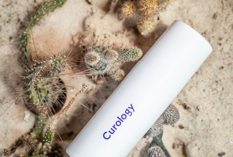 Best CBD Creams & Salves for Pain (2026): Reviews, Application Guide & Comparison