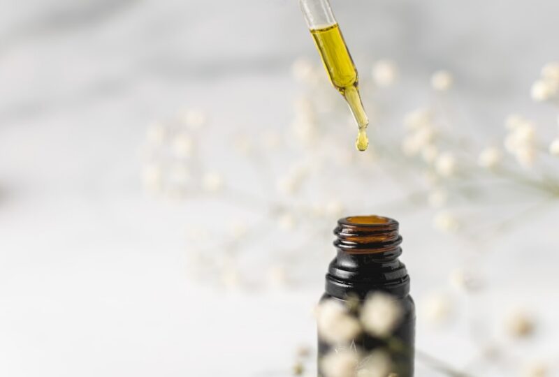 Charlotte’s Web CBD Oil Review 2026: Is the Pioneer Brand Still Worth the Premium?